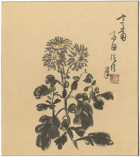 富田温一郎「自筆色紙　菊」
