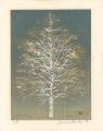 Early Spring