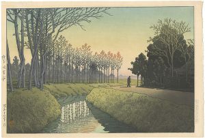 埼玉田宮村