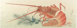 Lobster and Japanese White Pine Sprout 【Reproduction】