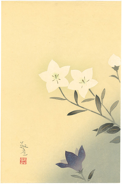 Yasuda Yukihiko “Chinese Bellflower (tentative title)”