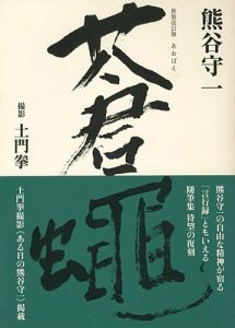 「蒼蝿 新装改訂版」熊谷守一