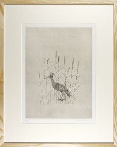 Minami Keiko / 鳥