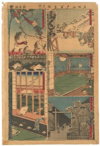 Sadanobu I / Cut-out Pictures of 100 views of Famous Places in Edo [名所江戸百景張交]