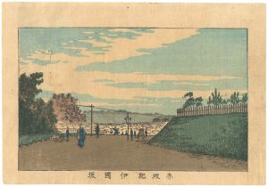 東京真画名所図解　赤坂紀伊国坂