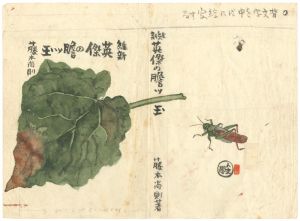 中川一政「自筆装丁画　「維新英傑の膽ツ玉」　藤本尚則著」
