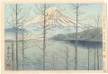 36 Views of Mt. Fuji / Mt.Fuji......