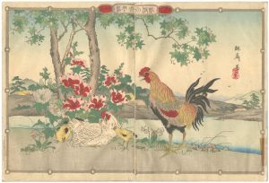 琳斎「花鳥画譜」