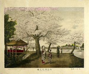 福宮源治郎「向島櫻花之図」