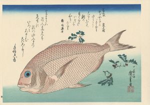 A Series of Fish Subjects / Sea Bream and Sansho 【Reproduction】