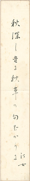 中村汀女「自筆短冊 」