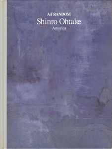 「大竹伸朗 アメリカ」