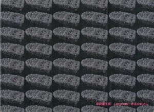 ｢草間彌生展 Labyrinth 迷宮の彼方に｣