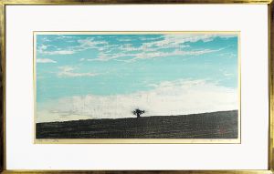 Landscape(D)