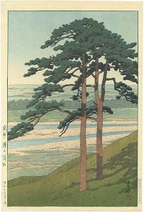 武州　滝山城址