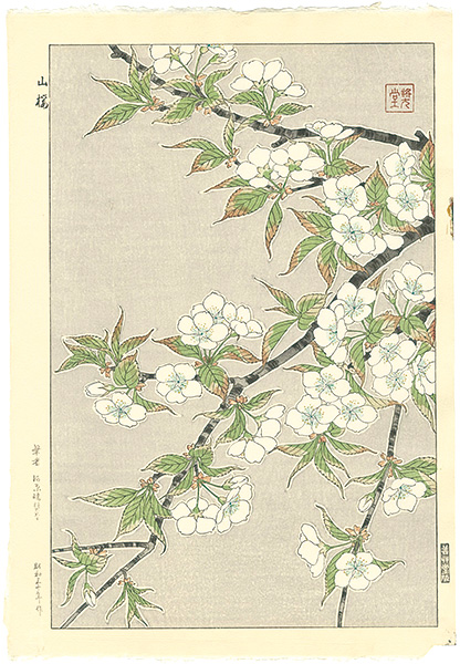 Kawarazaki Shodo “wild cherry blossoms”