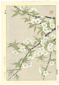 河原崎奨堂「山桜」