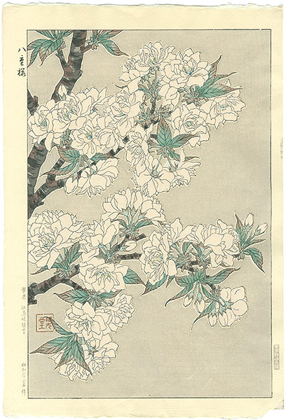 河原崎奨堂「八重桜」