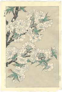 河原崎奨堂「八重桜」