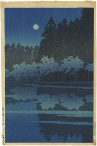 井之頭の春の夜