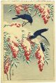 Nanten Bush and Fly-catchers i......