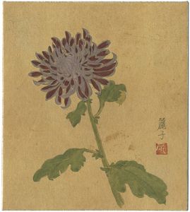 岸田麗子「自筆画色紙　菊」