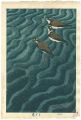 Plovers