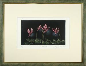 生田宏司「カタクリの花」