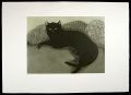 Black Cat