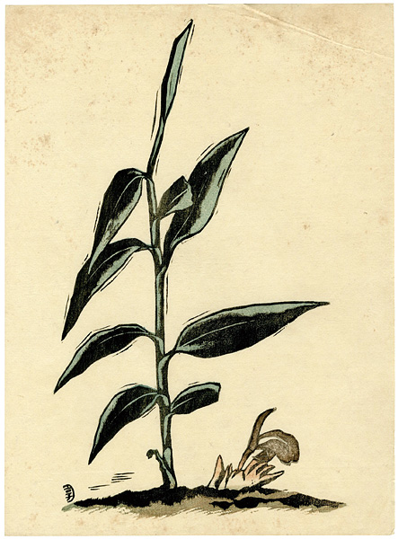Henmi Takashi “茗荷”