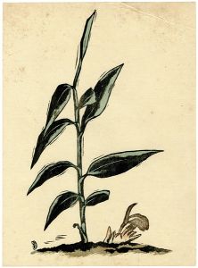 Henmi Takashi / 茗荷
