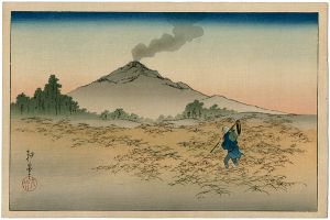 Landscape(tentative title)