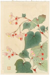 福田翠光「秋海棠」