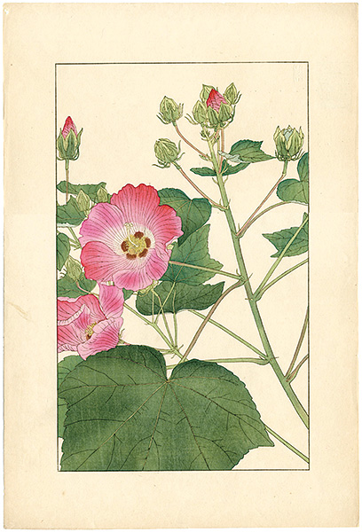 杉浦非水「芙蓉」