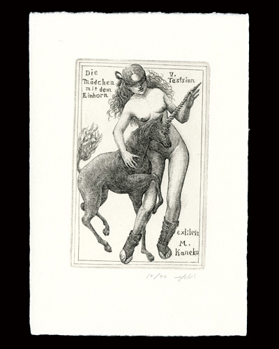 Hayashi Yukiko “Meiner einzigen Sehnsucht Die Madchen mit dem Einhorn V. Tastsinn”