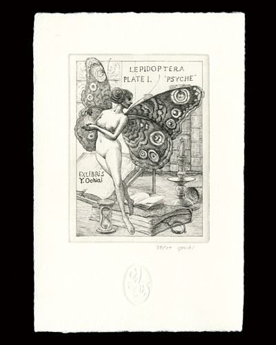 Hayashi Yukiko “LEPIDOPTERA PLATE 1. PSYCHE”