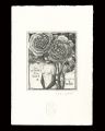Les LITANIES de la ROSE II.