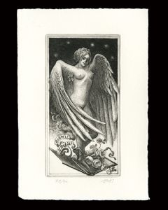 Hayashi Yukiko / Angel of The Bibliophile