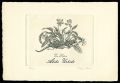 Ex Libris