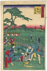 東京名所十二ヶ月　五月　堀切園志ようぶ坂