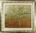 Apples Blossam and Fox