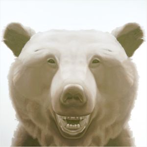 わらいクマ