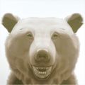 Laughing Bear