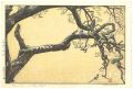 Plum Tree and Blue Magpie
