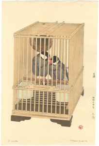 吉田遠志「文鳥」