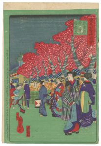 歌虎 国利「東京名所図会　新吉原仲の町夜桜の景」