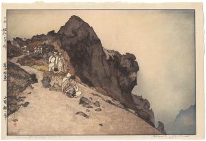 10 Views of Fuji / The Kengamine Summit