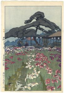 Twelve Scenes of Tokyo / The Iris Garden at Horikiri