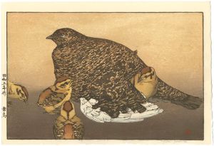 吉田遠志「雷鳥」