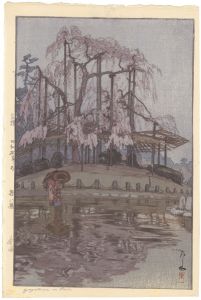櫻八題　春雨
